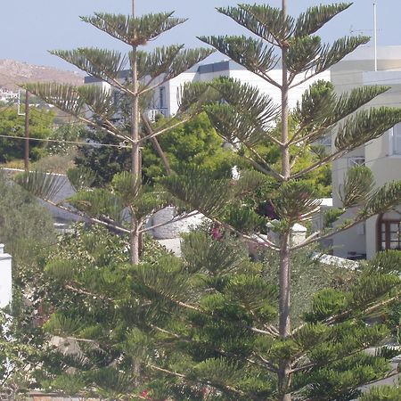 Manos Apartments Mégas Yialós-Nítes Dış mekan fotoğraf